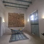 Casa De Los Gatos